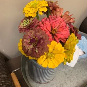 Meet your Posher, Jared